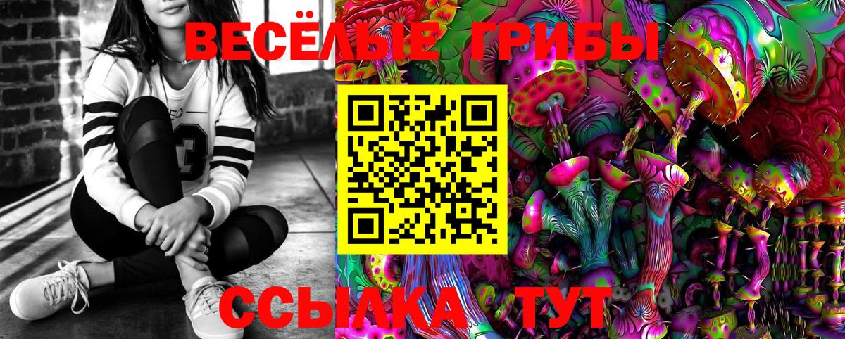 Alpha PVP Котовск