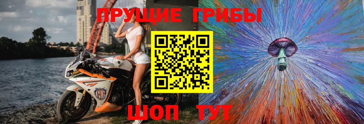 Псилоцибиновые грибы мухоморы  Вход с VPN  Галлюциногенные грибы GOLDEN TEACHER  Котовск 