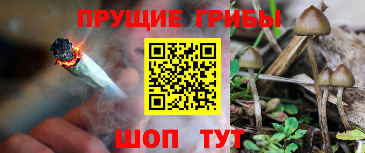 Галлюциногенные грибы ЛСД Котовск